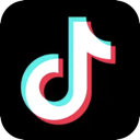 TikTok付费翻墙软件